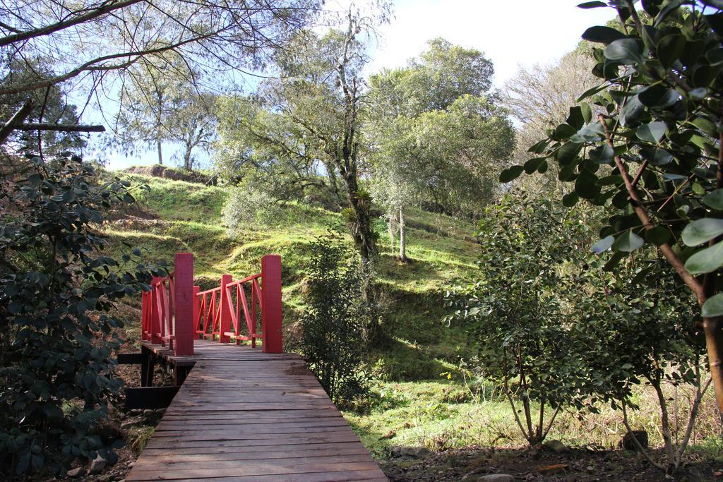 Café e Cabanas Lenha no Fogo Urubici Extérieur photo